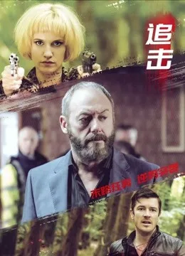 追击(2017)