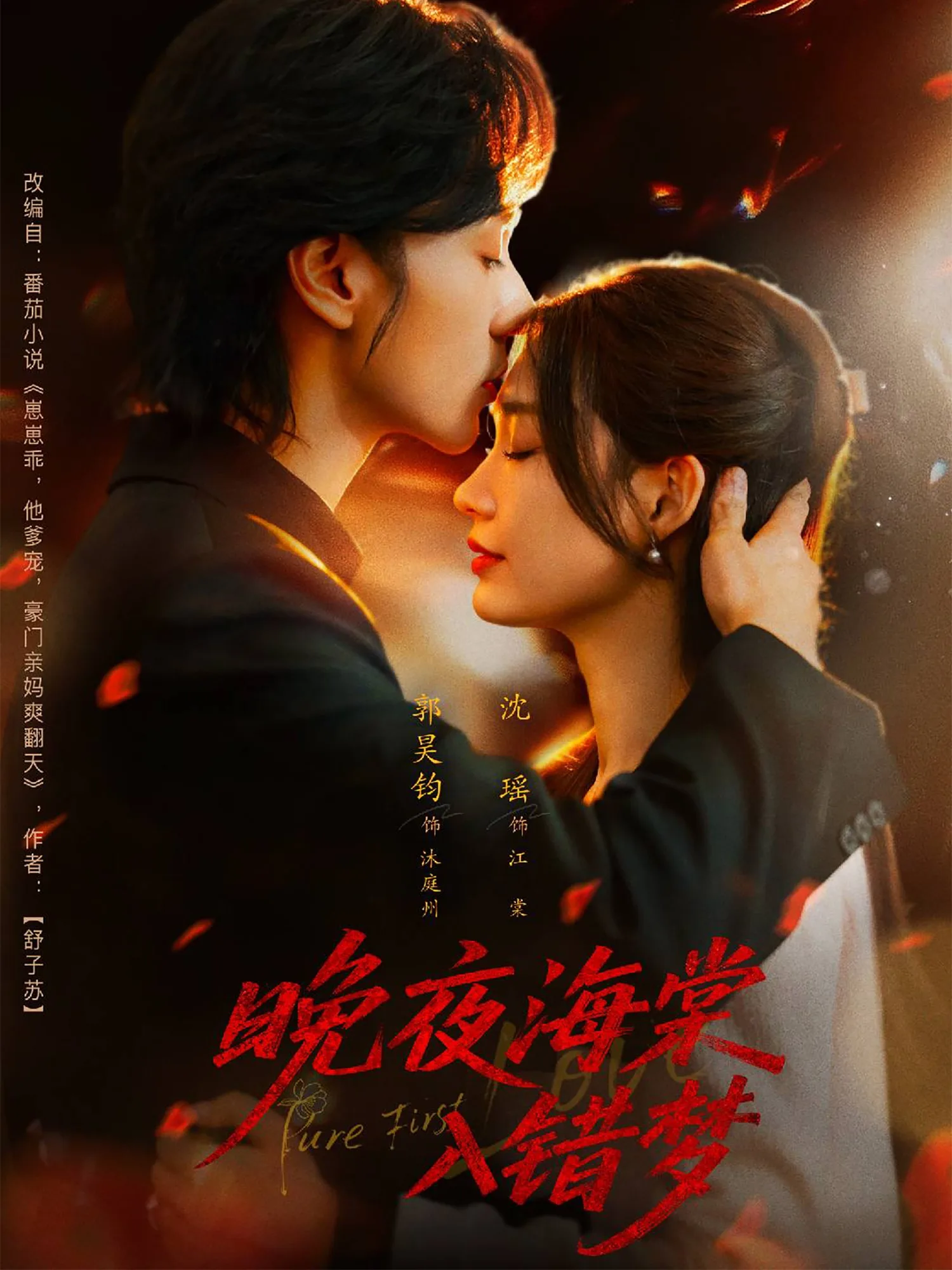晚夜海棠入错梦