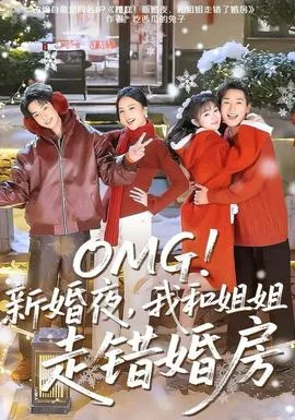 新婚夜,我和姐姐走错婚房